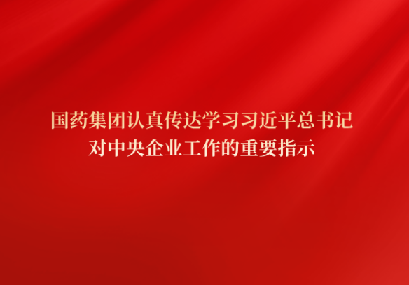 金刚弹珠手游APP官方｜原版授权｜多端兼容运行更稳定🎉党委传达学习习近平总书记对中央企业工作作出的重要指示精神和中央企业负责人会议精神